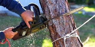 Best Soil Testing and Treatment  in Mission Hills, CA