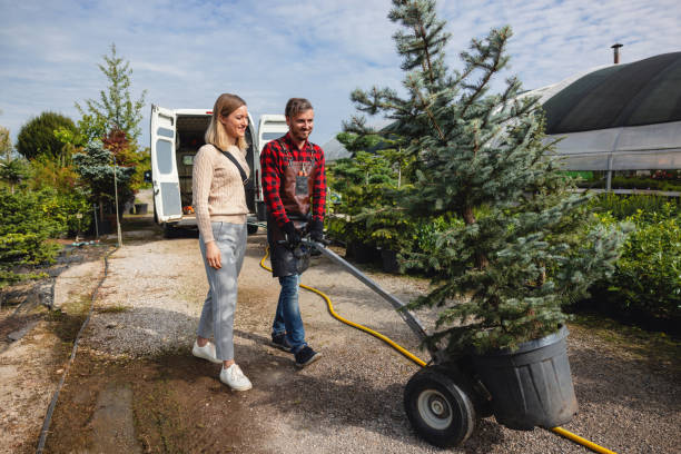Best Tree Disease Treatment  in Mission Hills, CA